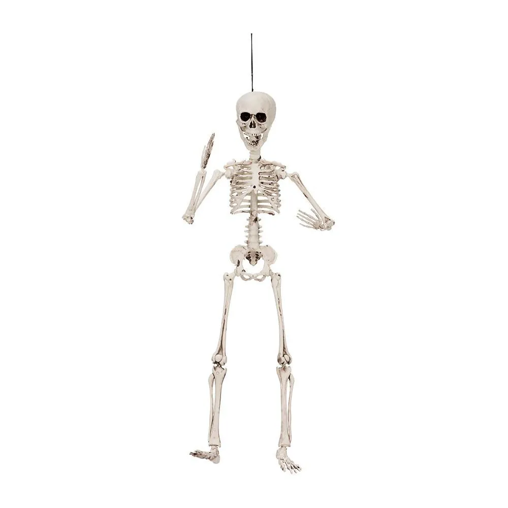 Halloween - Skelett 50cm