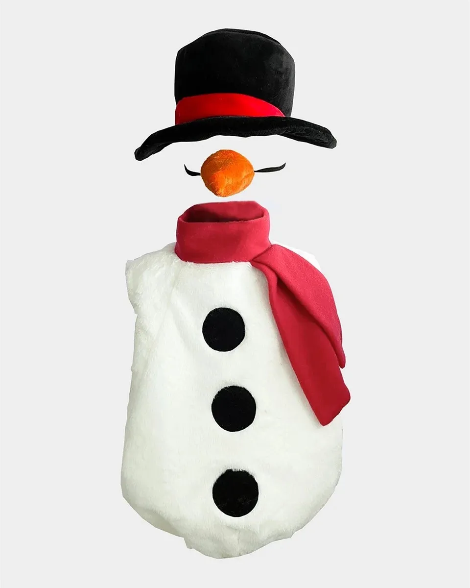 Snögubbe - Utklädning