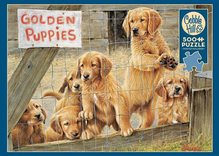 Pussel - Golden Retriever valpar